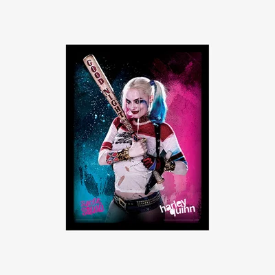 The Range Suicide Squad (Harley Quinn) Framed Print