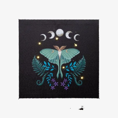 The Range Something Different Canvas Luna Moth Light Up Canvas - Black/Blue/White