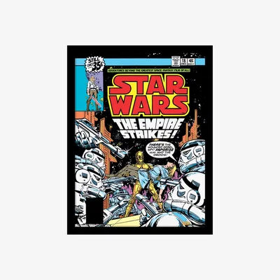 The Range Star Wars (Rebel Spy) Framed Print