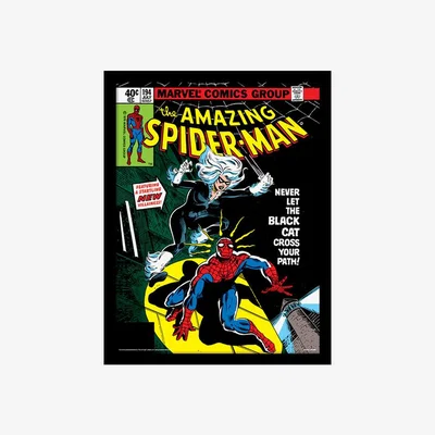The Range Spider-Man (Black Cat) Framed Print