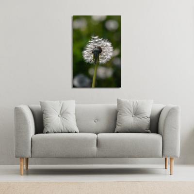 The Range fluffy flower Canvas Print - Green / 127cm / 101cm