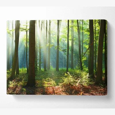 The Range Woodland Blues and greens - 101.6cm