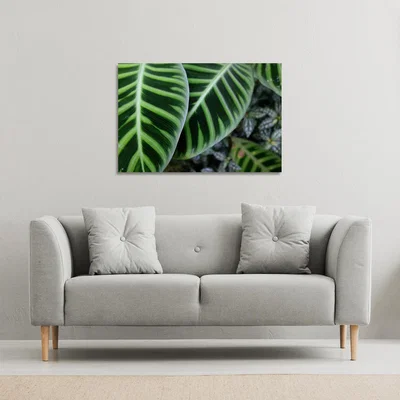 The Range yellow structure in exotic jungle setting Canvas Print - Green / 46cm / 31cm