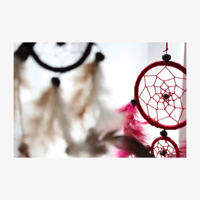 The Range Turquoise Pink Purple Heart Dream Catcher with Feathers, Native American Gift - Multi