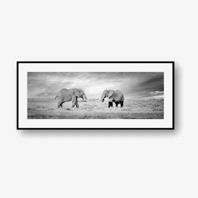 The Range Nice To Meet You Elephant Canvas