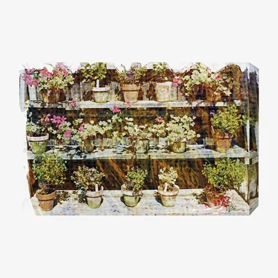 The Range Flower Plant Pots Graphic Art on Canvas - Green / 92cm