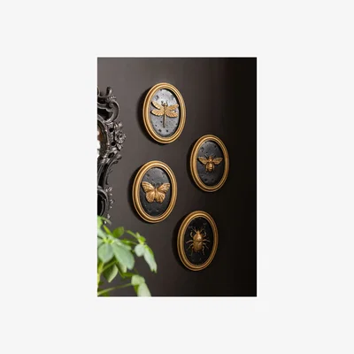 Rockett St George Set of 4 Black & Gold Entomology Wall Art