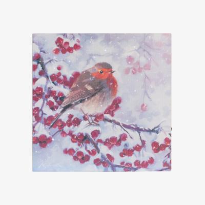 The Range Macneil Winter Robin Fibre Optic Canvas