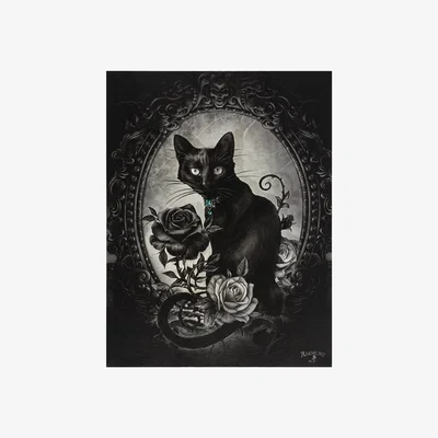 The Range Alchemy Gothic Paracelsus Philosopher¿s Cat Canvas Plaque 19x25cm - Black