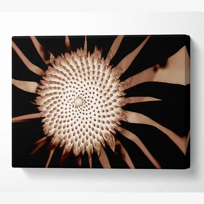 The Range Chocolate Daisy Centre Canvas Print Wall Art - Yellow / 101.6cm