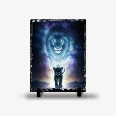 The Range Lions Rock Slate - Slate