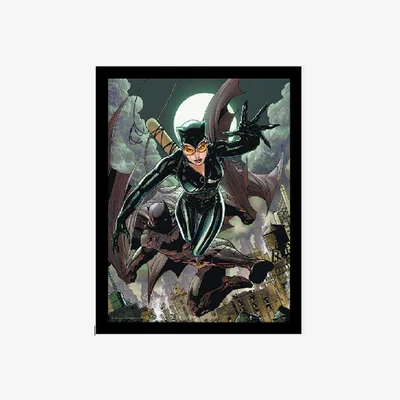The Range Batman Cat and Bat Framed Print