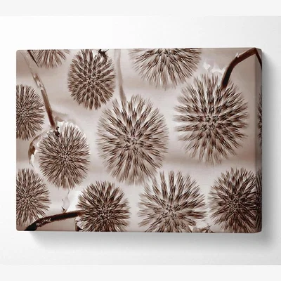 The Range Dandelion Dream Chocolate Canvas Print Wall Art - Yellow / 66.04cm