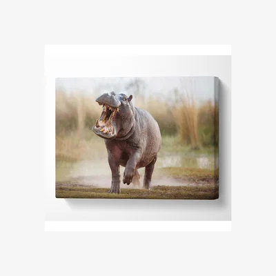 The Range Charging Hippo Canvas Print - Black / 50.8cm