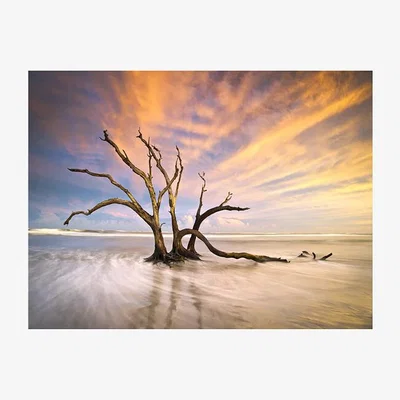The Range Driftwood Sunset Scene Canvas
