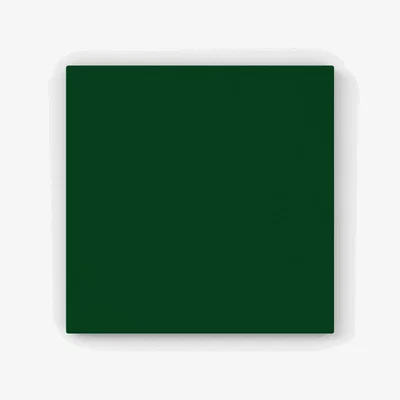 The Range Jungle Green HD Metal Print - Green / 30cm