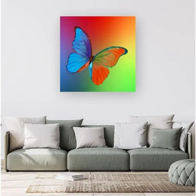 The Range Vibrant Butterfly Canvas Print - Blue / Small