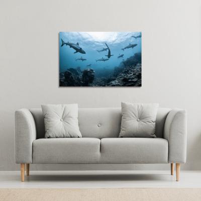 The Range Schooling grey reef sharks, Ningaloo reef, Western Australia Canvas Print - Blue / 61cm / 41cm