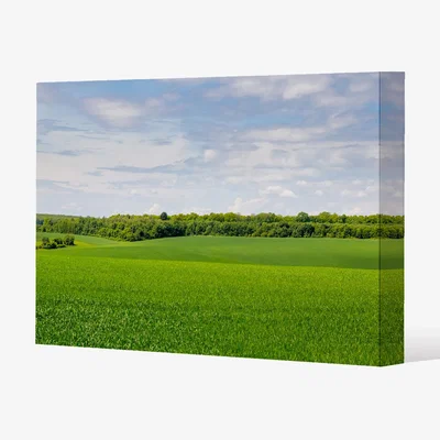 The Range Summer landscape with hilly green field and forest in the distance Canvas Print - Green / 127cm / 101cm
