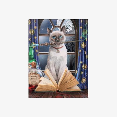 The Range Hocus Pocus Canvas - Multicolour