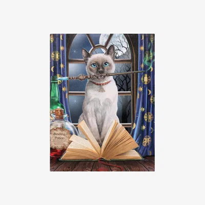 The Range Hocus Pocus Canvas - Multicolour