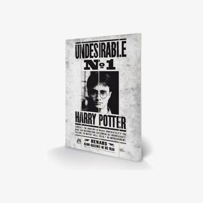 The Range Harry Potter (Undesirable No1) Wall Art