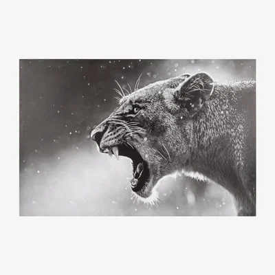 The Range Hear My Roar Canvas