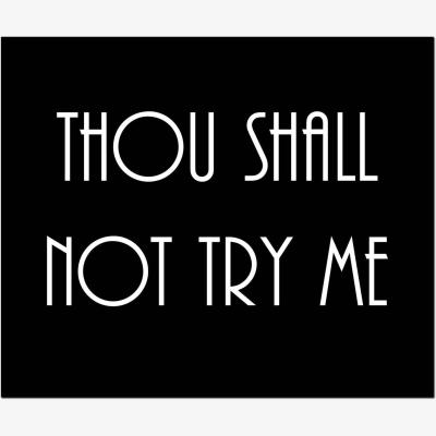 The Range Thou Shall Not Try Me Silver Foil Plaque Elegant Decor - Silver