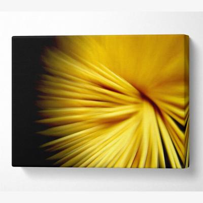 The Range Golden Flare Canvas Print Wall Art - Yellow / 66.04cm