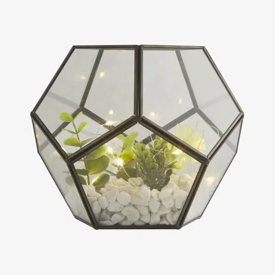 The Range Black Terrerium With LED  Lights  - Black