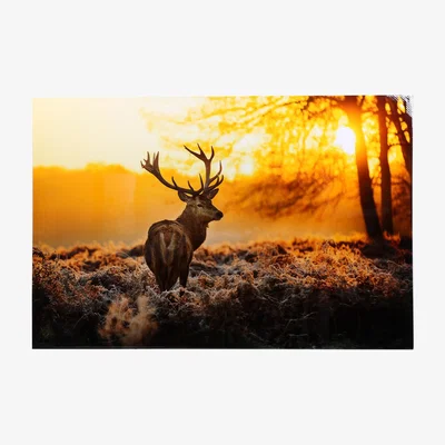 The Range Forest Deer at Sunset Framed Print - Orange