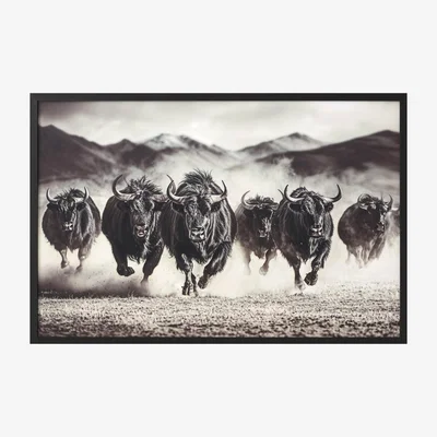 The Range Charging Bisons Framed Gloss Art - Black