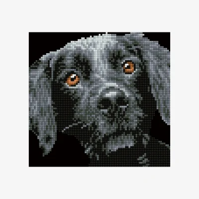 The Range Diamond Dotz Painting Kit Pepper  - Pepper