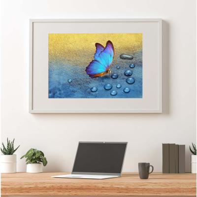 The Range Butterfly On Dew Drops Art Print - Blue / 29.7cm