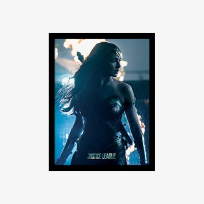 The Range Justice League Movie (Wonder Woman In Enemy Territory) Framed Print