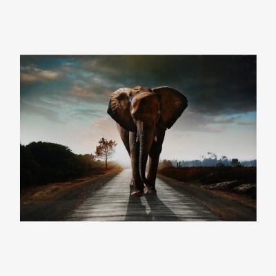 The Range Majestic Elephant Gloss Canvas