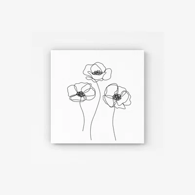 The Range Monochrome Line Drawn Poppies HD Metal Print - White / 30cm