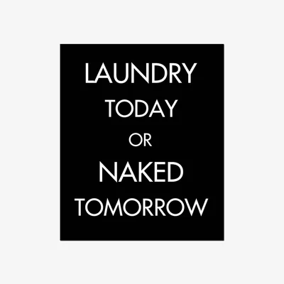 The Range Laundry Today Or Naked Tomorrow Silver Foil Plaque Humorous Sign - Silver