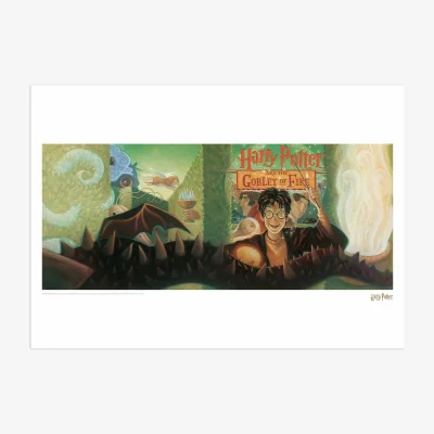The Range Harry Potter  the Goblet of Fire Book Cover Artwork Limited Edition Art Print - Multi