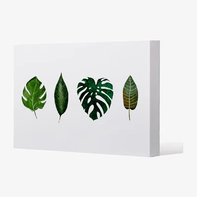 The Range leaves selections Canvas Print - Green / 61cm / 91cm