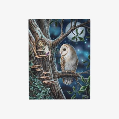 The Range Fairy Tales Canvas Plaque 19X25Cm - Multicolor