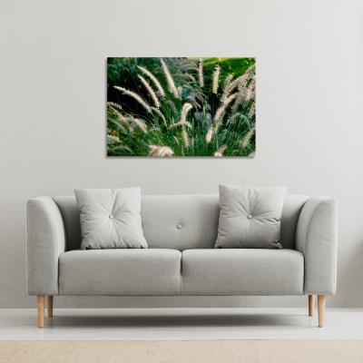 The Range decorative cat tail grass growing along a walkway Canvas Print - Green / 127cm / 101cm