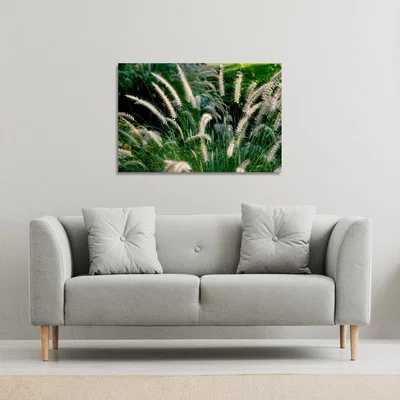 The Range decorative cat tail grass growing along a walkway Canvas Print - Green / 127cm / 101cm