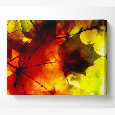 The Range Bursting With Life Canvas Print Wall Art - Yellow / 35.56cm