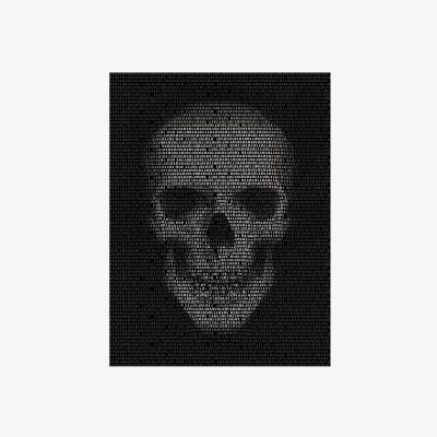 The Range Tempered Glass Skull Art