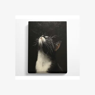 The Range Cat Looking Up Canvas Print - Black / 101.6cm