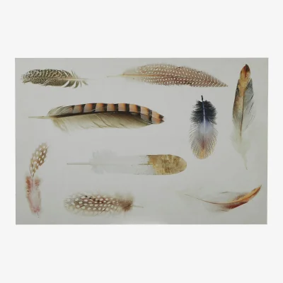 The Range Madera Feather Wall Plaque - White, Brown