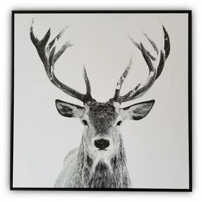 The Range Monochrome Stag Print Canvas