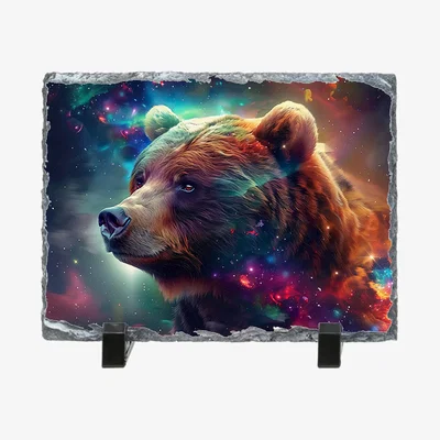 The Range Neon Bear Photo Rock Slate - Slate