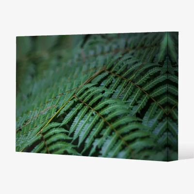 The Range grren leaves pattern and texture at Indonesia Canvas Print - Green / 101cm / 77cm
